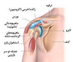 دررفتگی شانه